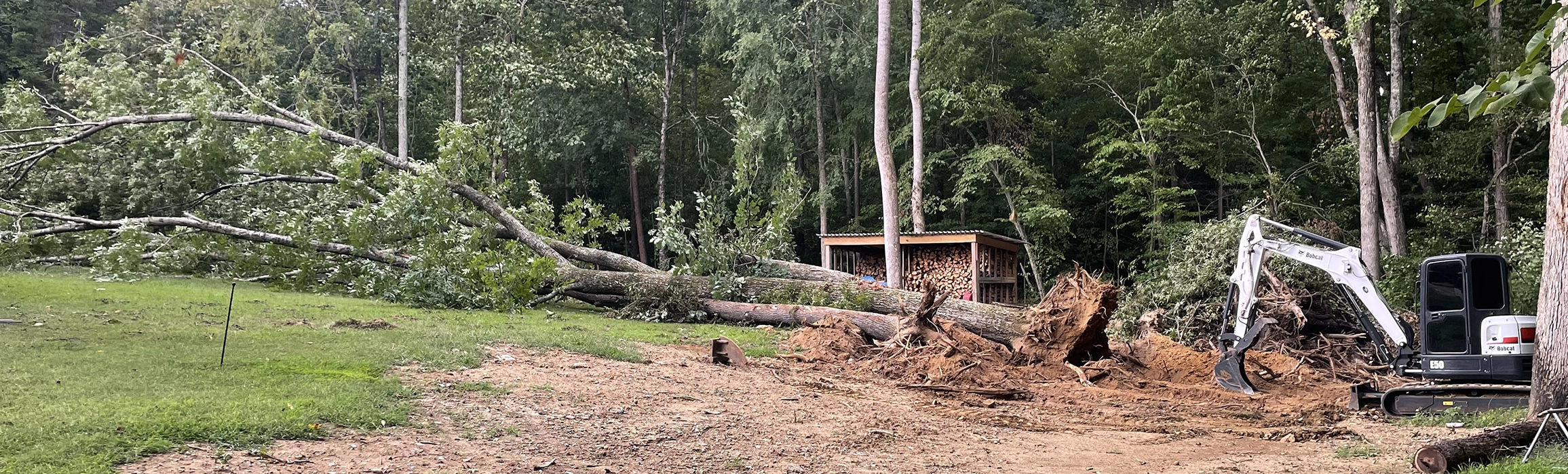 Land Clearing Tree Removal